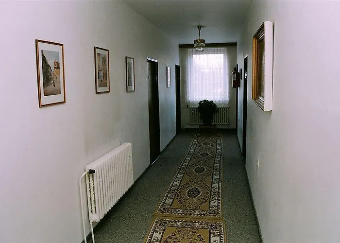 波希米亚人酒店 酒店