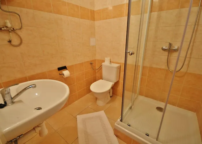 酒店 波希米亚人酒店 3*