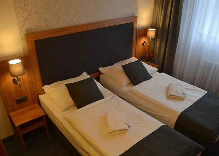 酒店 波希米亚人酒店