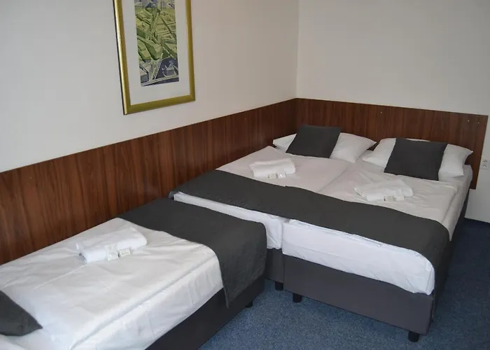 波希米亚人酒店